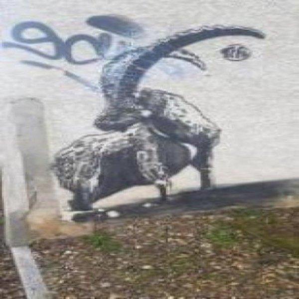<pochoir_26